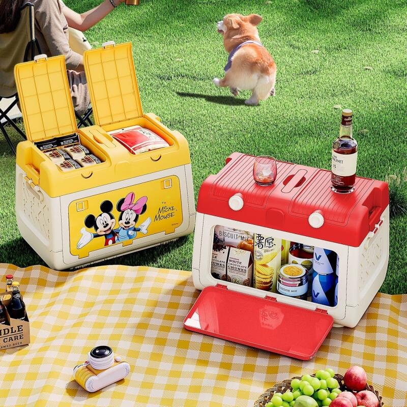 Disney Genuine Authorized Outd - Outdoor Camping Movies review and price