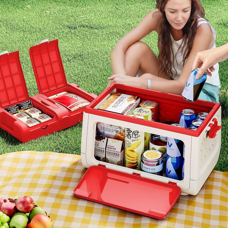 Disney Genuine Authorized Outd - Outdoor Camping Movies review and price